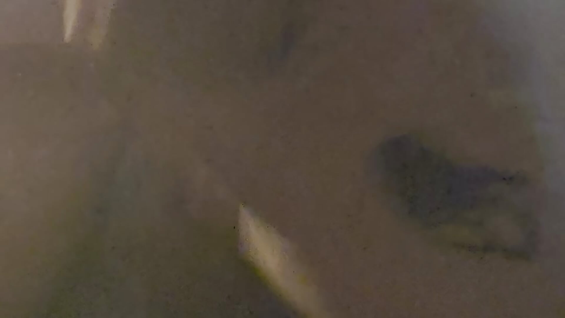 Private - video by DonJuanDeBomboni cam model