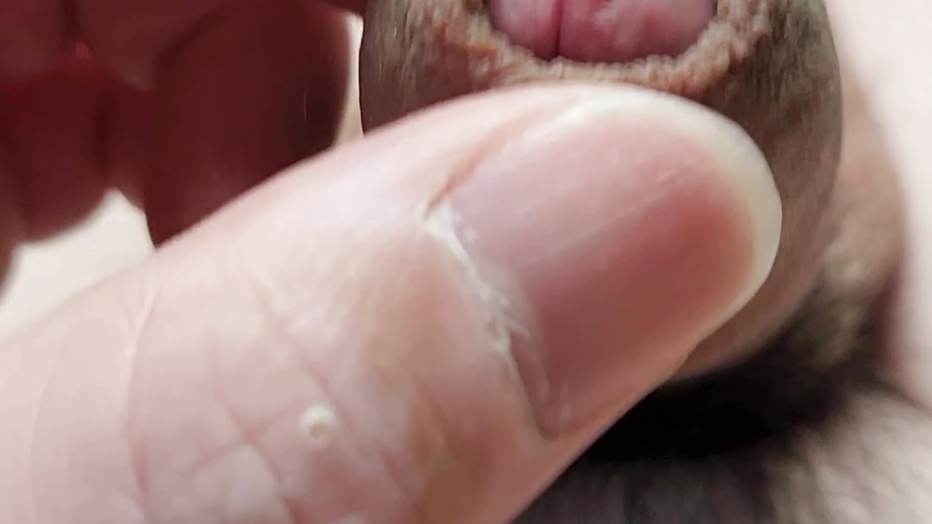 皮剥き - video by yuyuyu23565 cam model