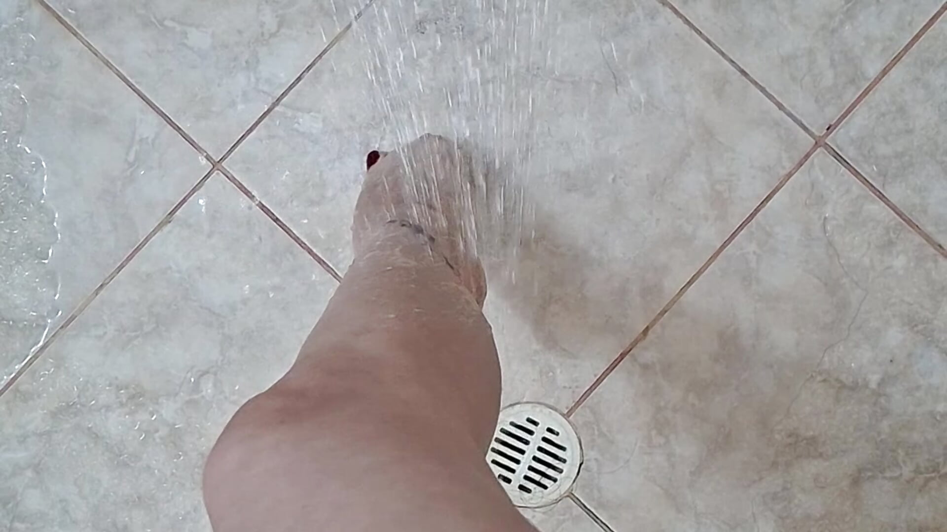 Legs