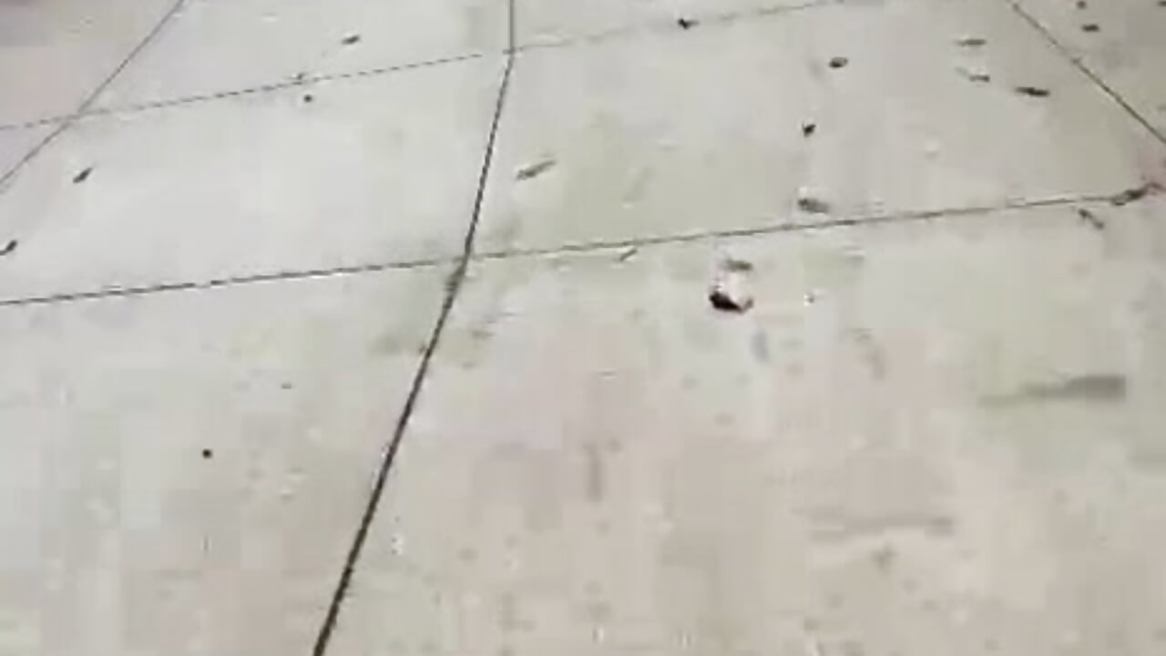 MY HOBBIE ❣️ - video by cat_rose_25 cam model