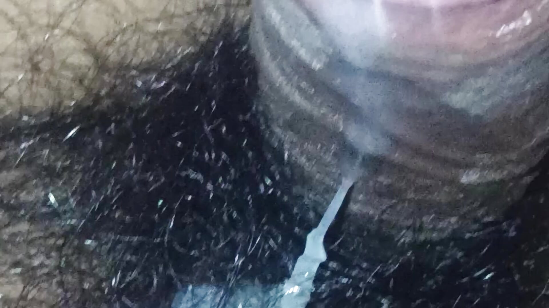 Dulu adlı kamer modelinin viral videoları:  184