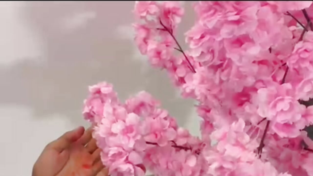 the girl in the bubble - vidéo du modèle de showcams Dominique_Rae