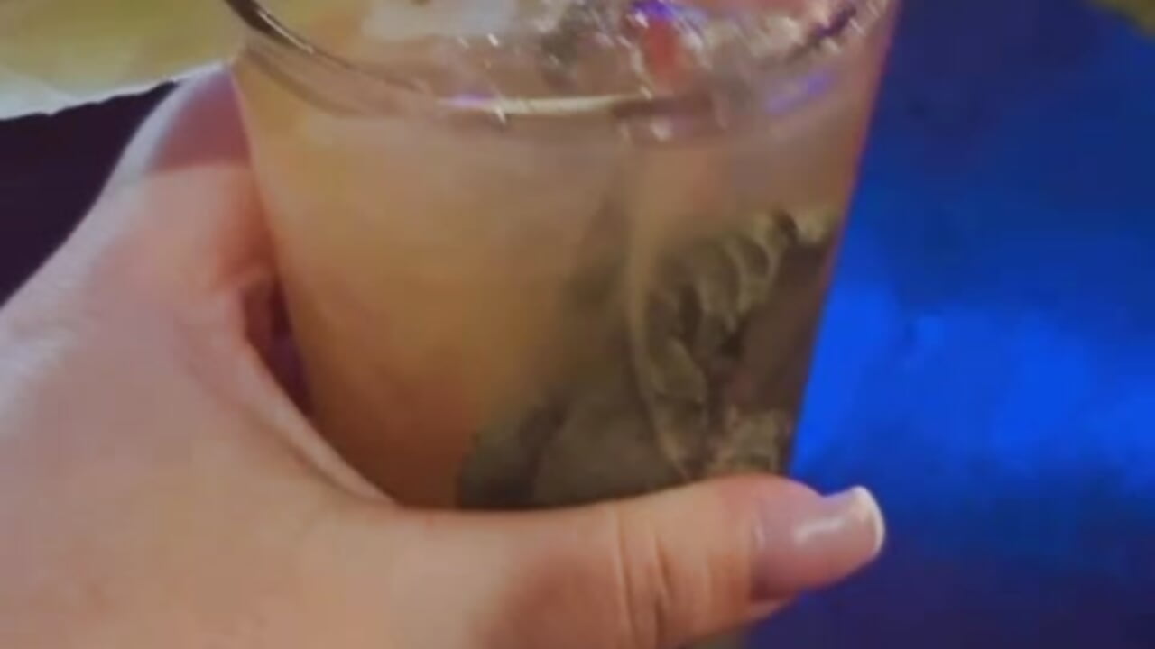 cheers - video by CurvyRosse_ cam model