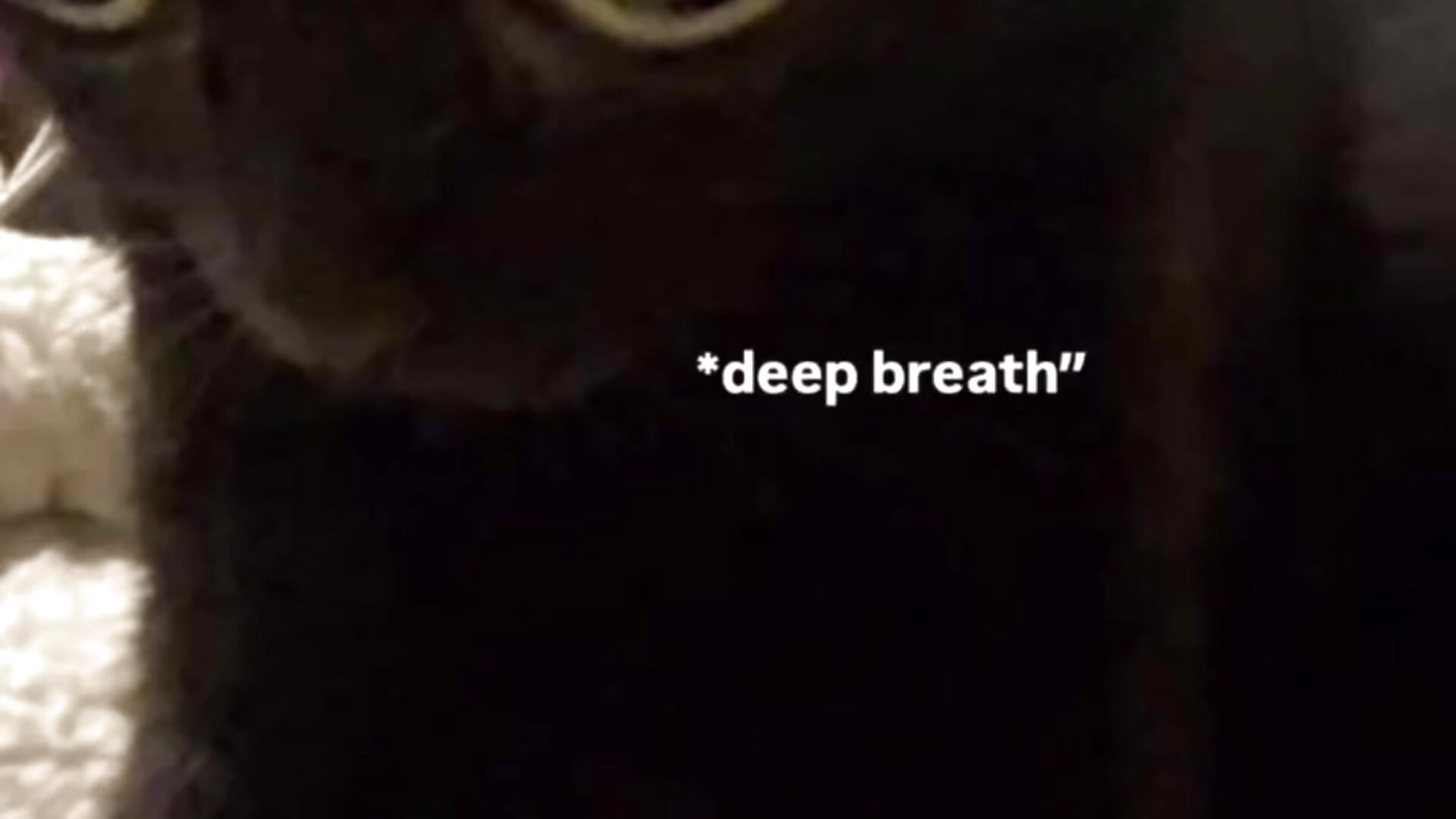 i’m Batman 🦇 - video by dominyantrix cam model