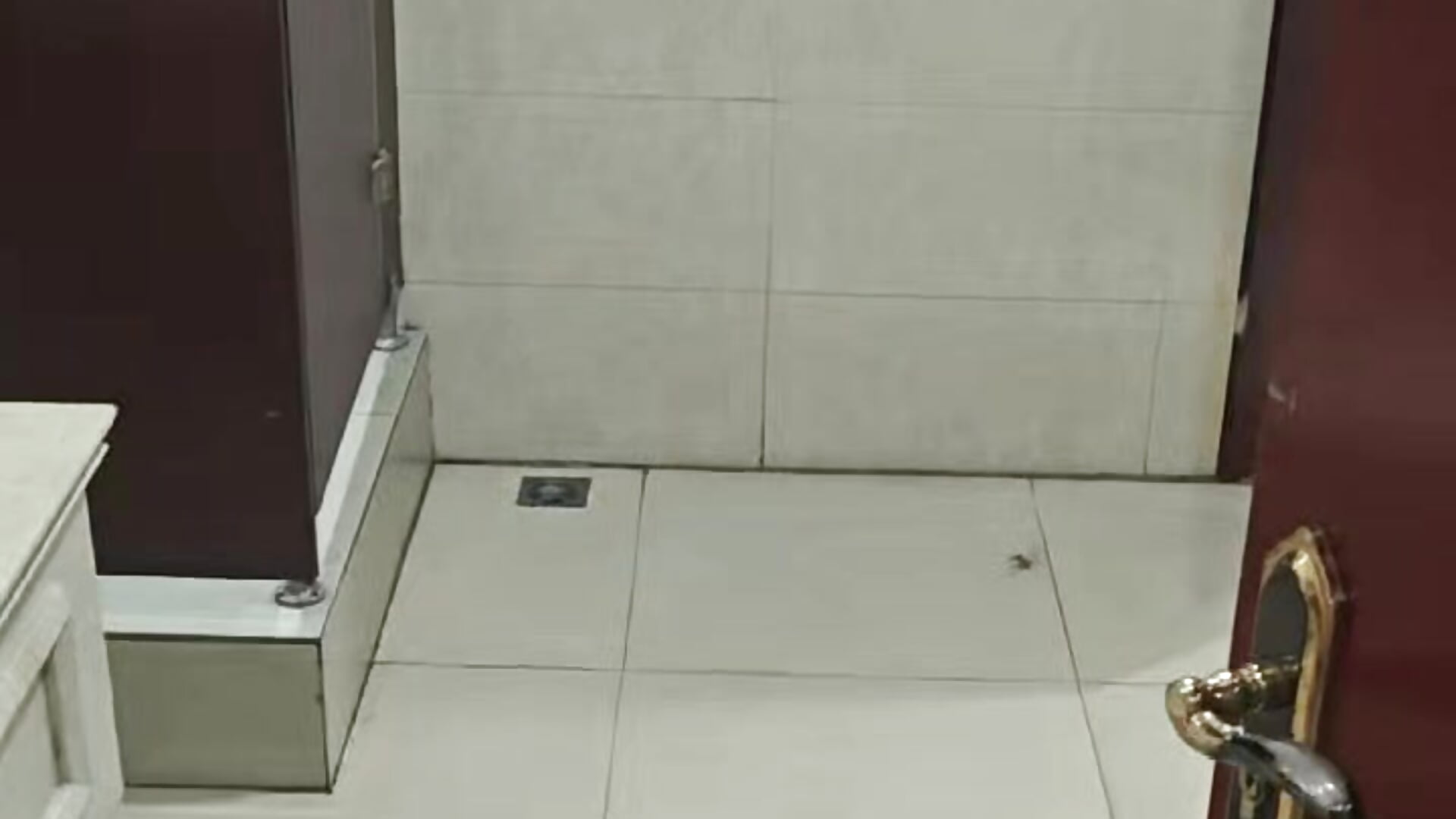 660ee07fa39e80b1b8cf43c6ec760a7b - فيديو من MHe-002 موديل الكام