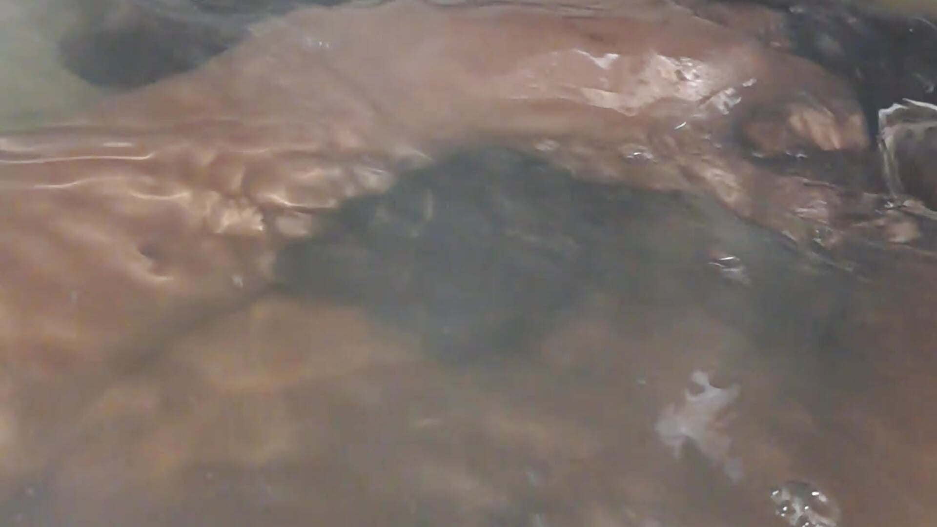 She squirt on me inside a bath 🛁 🔥🔥 - video by 015medupi cam model