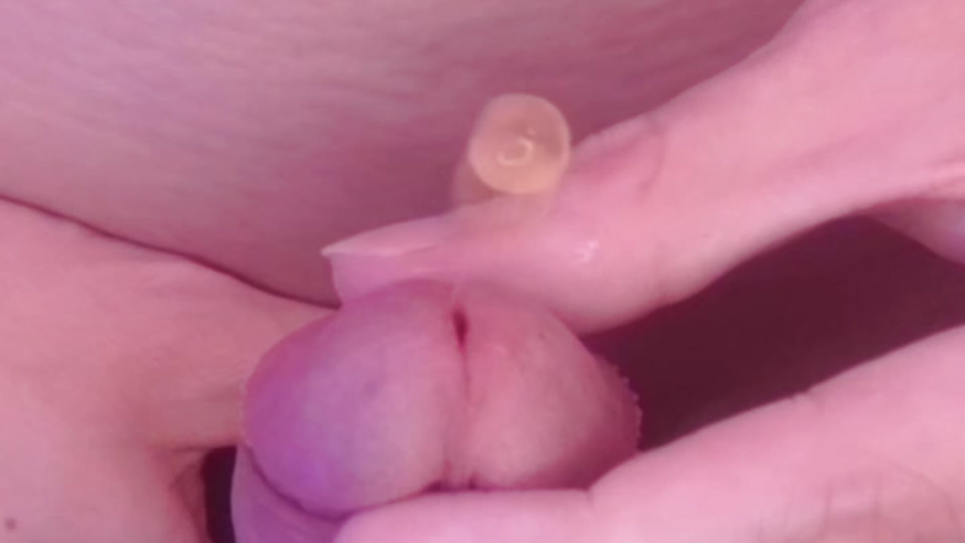 I put 30 of these Balls inside my Dick and let them grow for 90 minutes – video od Lina_Free