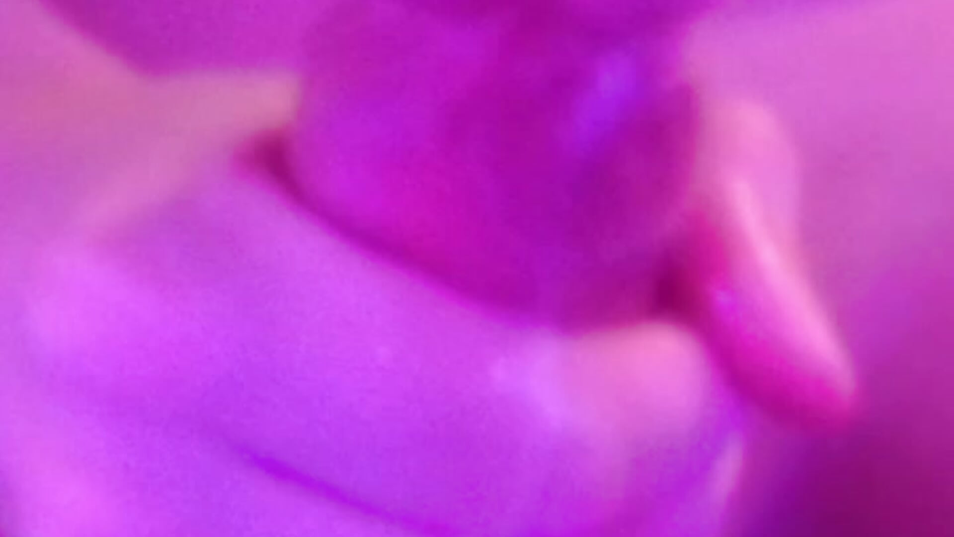 Cum ALL OVER My Big Tranny Dick – video od webkamerové modelky Lina_Free