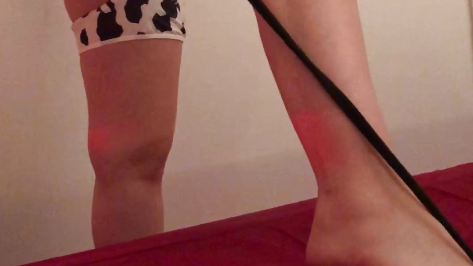 Cow Girl 🐴 - video by TemptationRoom69 cam model