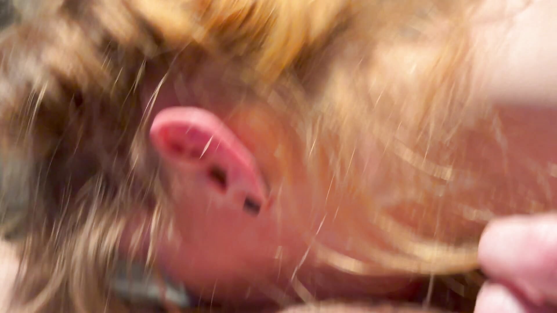 IMG_0366 - trickydickydaddy主播的视频