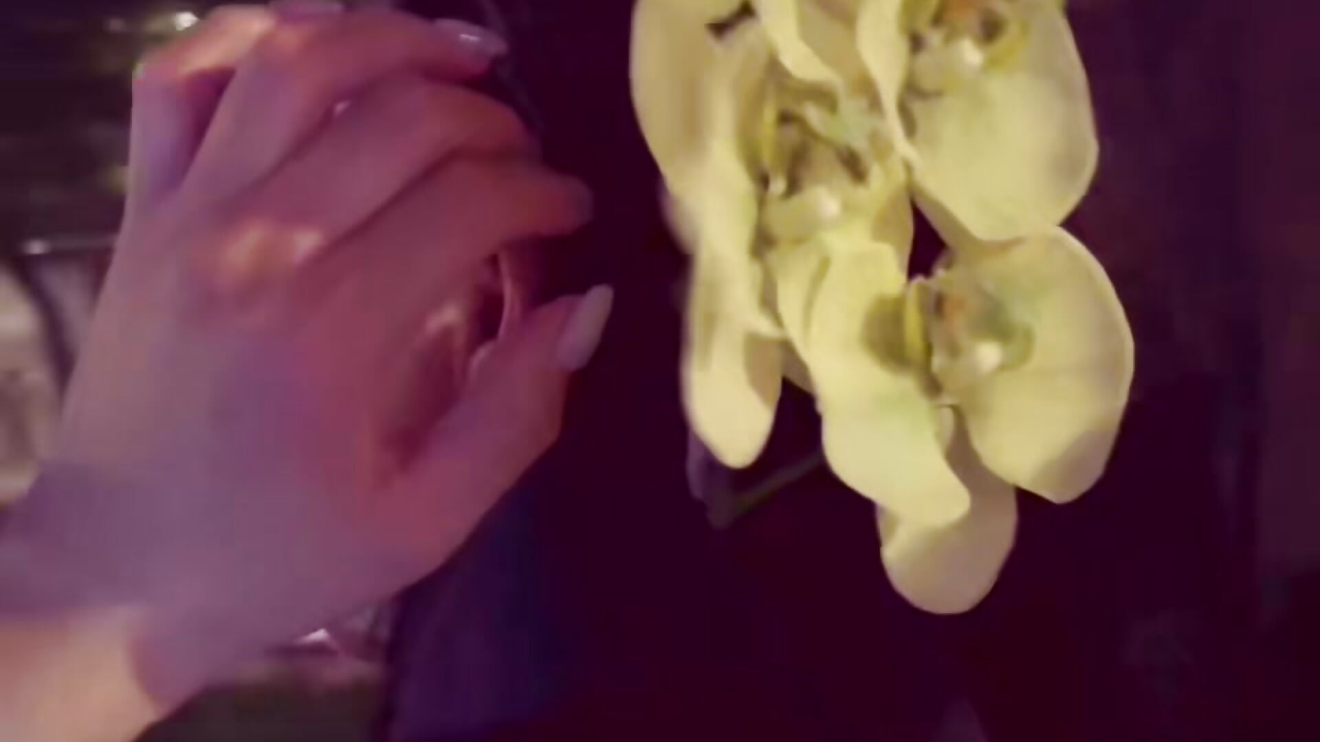 簪花赴温柔