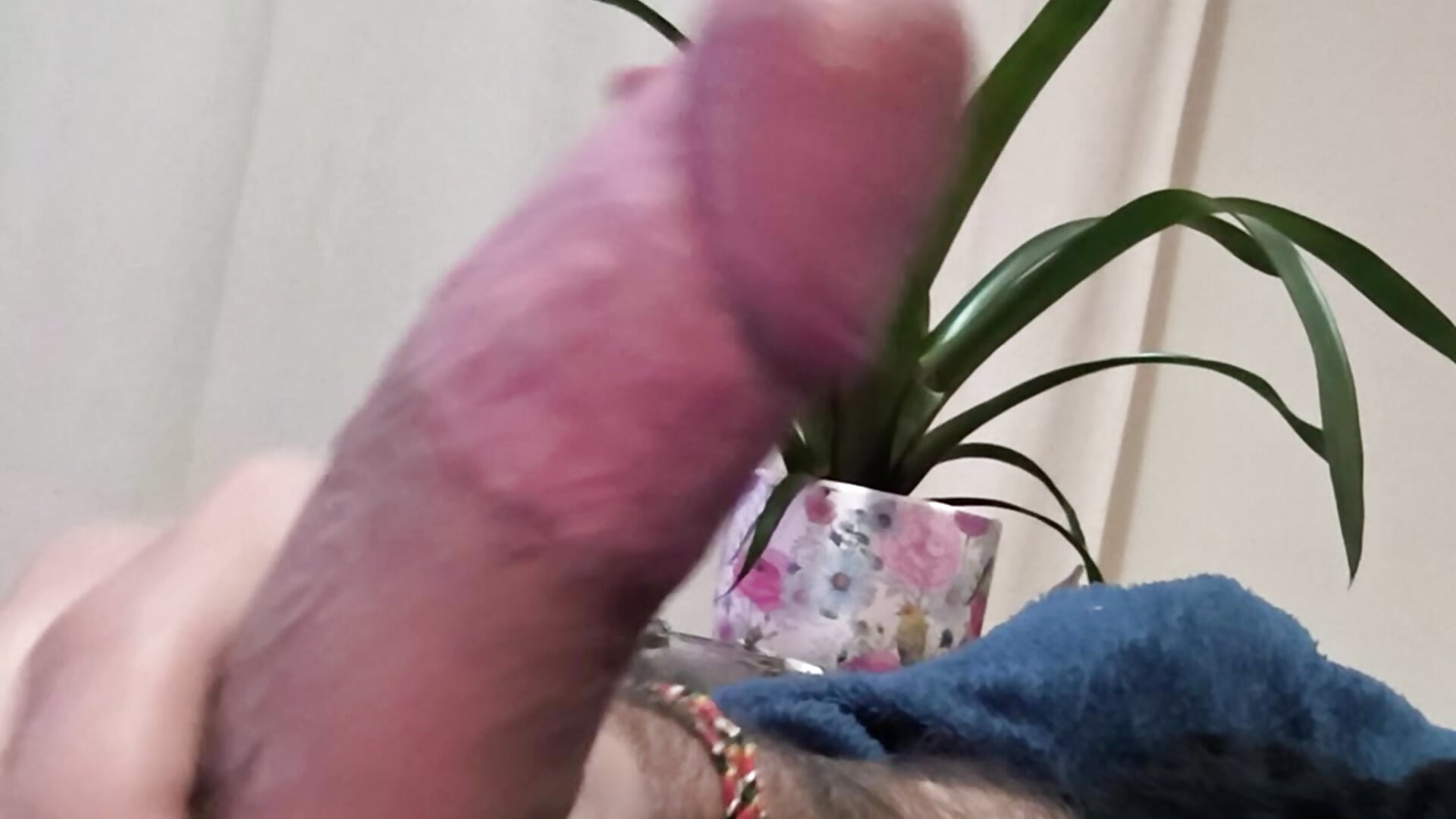 1000064997 - video by Playwithyournacho cam model