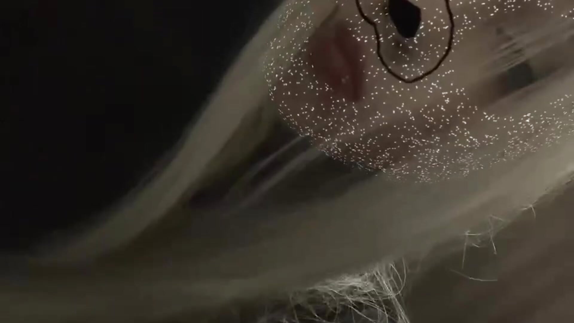 IMG_9198 - video by cupcakevice cam model