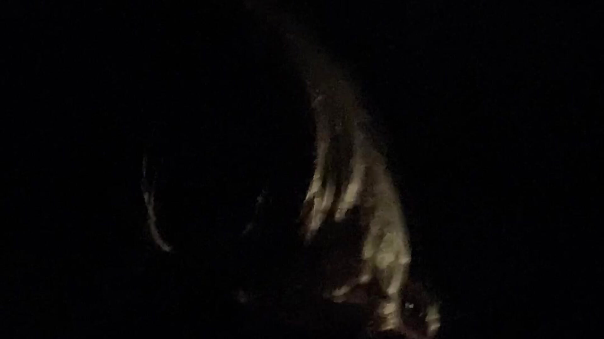 Daddy's Owned cunt outdoors – video modela na kameri simone_xdressing