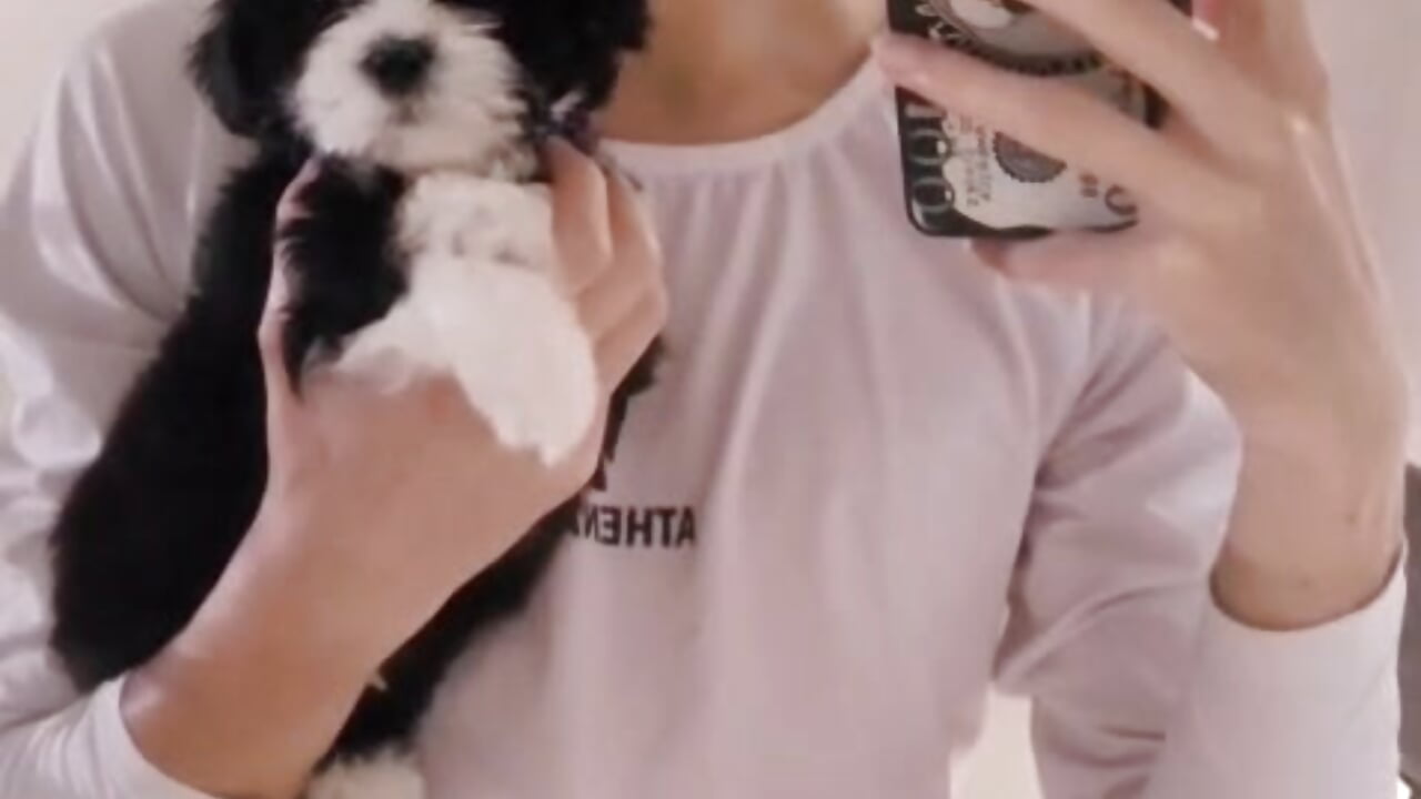 CUTE PUPPY - Vídeo de RYO_BLEU_, modelo de vídeos