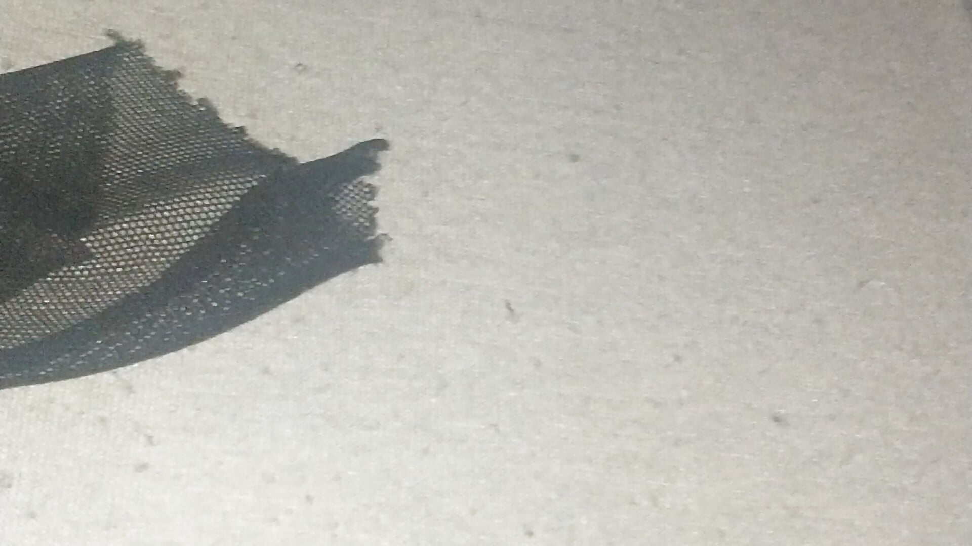 VID_20260413_000724553. Zajebisty - video av WardedStand cam-modell