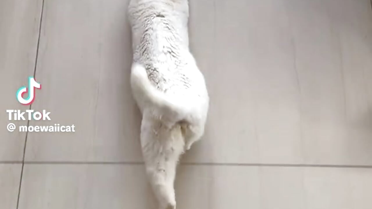 Funny - Min_Mura adlı kamera modelinin videosu