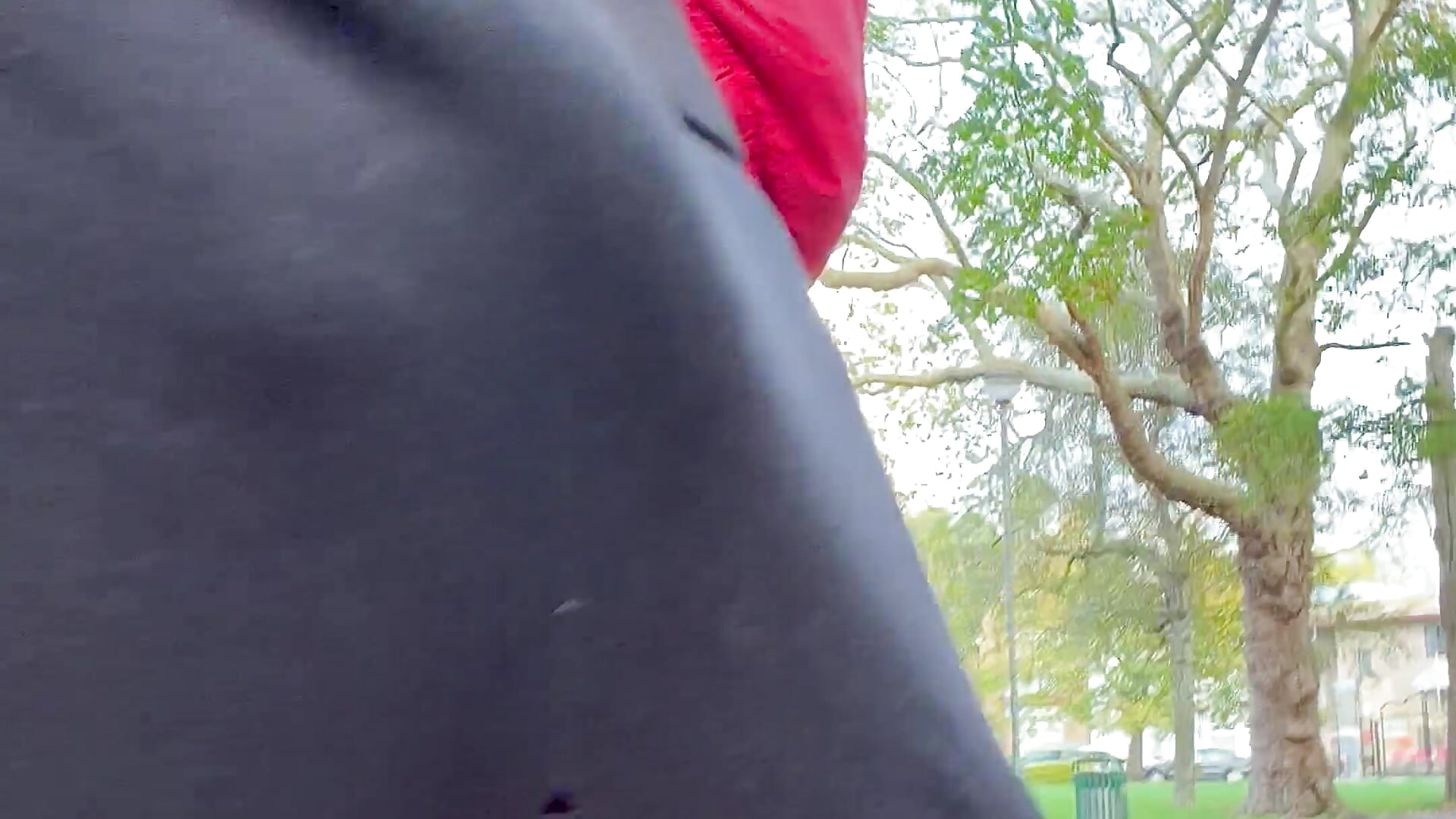 Walking In The Woods - Commando - video od modelky/modela SirDaddylicious