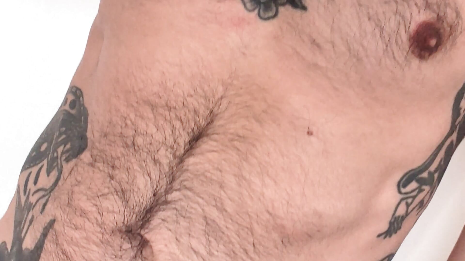 Nice to meet you - video by TattedUpSir cam model