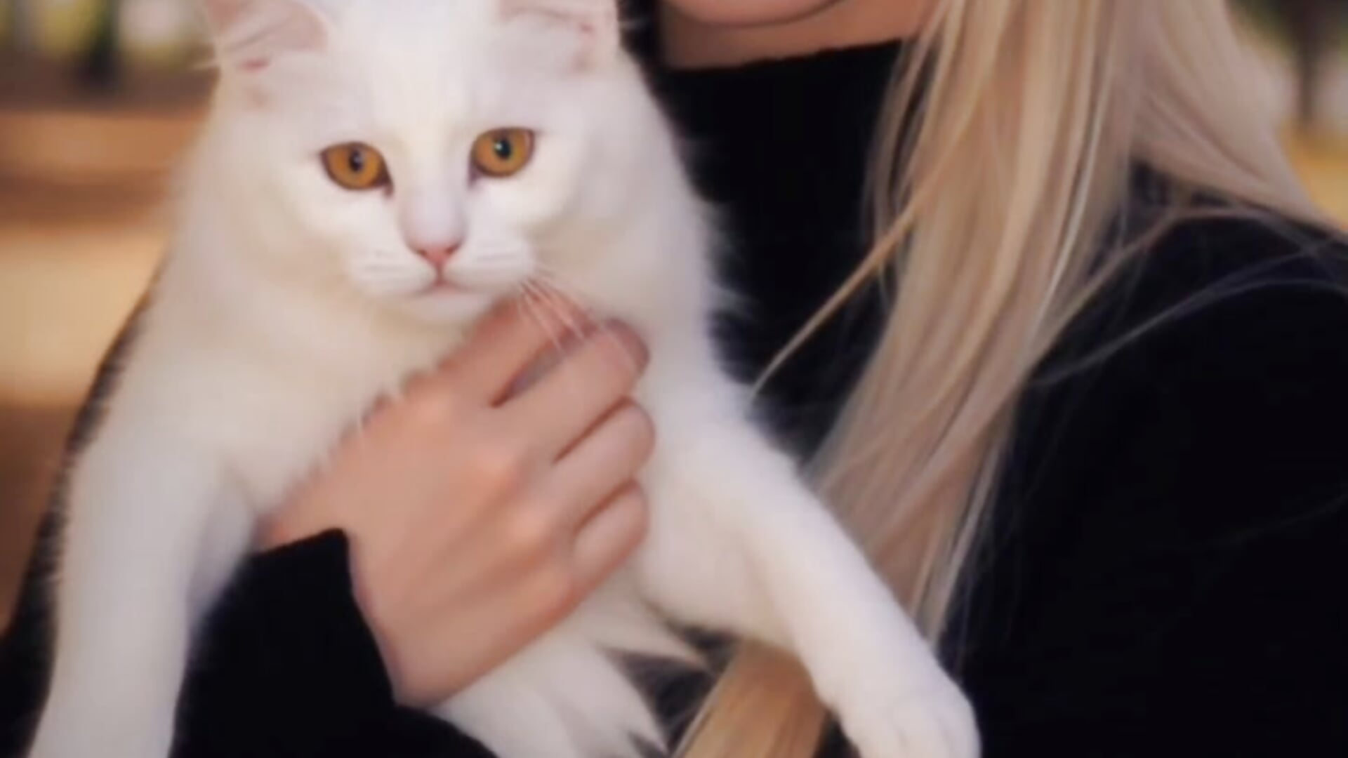 💥 - video by CherieAdair cam model