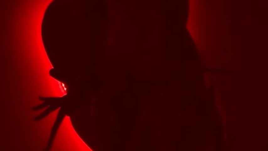 Estar en tus fantasias se me da muy bien 😈💖 - відео від вебкаммоделі lizzy_kane