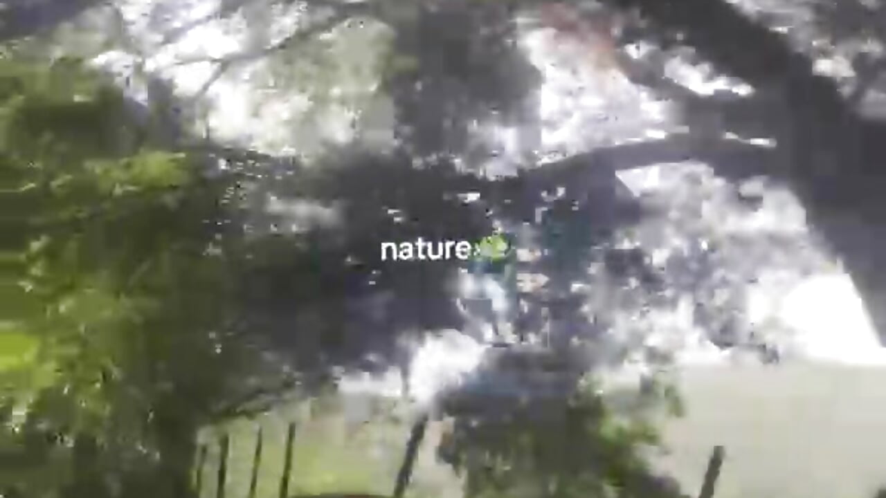 Nature 🌳🍃 – video modela na kameri lizzy_kane