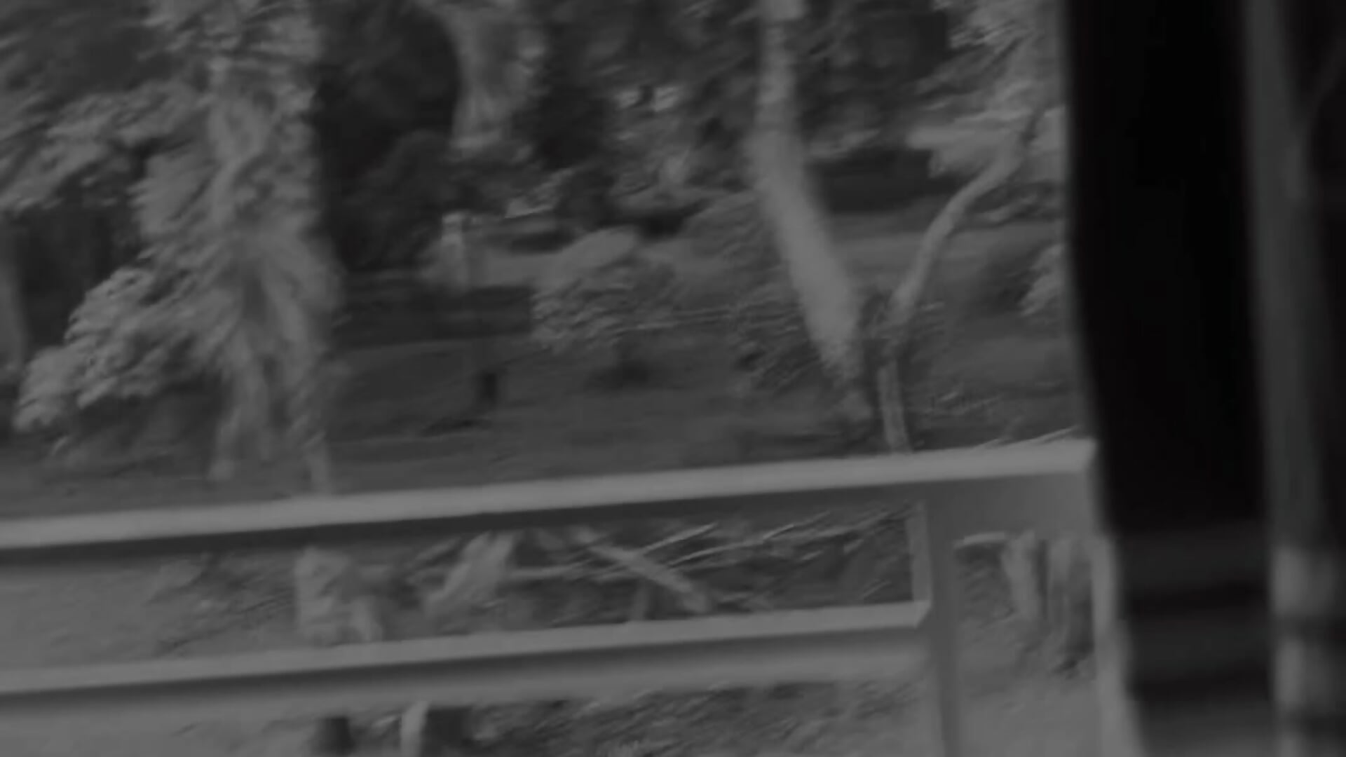 The views from my window 🌳 - video oleh lizzy_kane kamera model