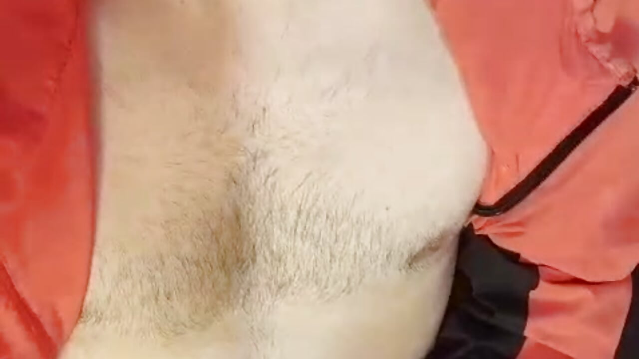 you make me so hot love, I want to fuck you!! mmmmmm - video by BryanTowers cam model