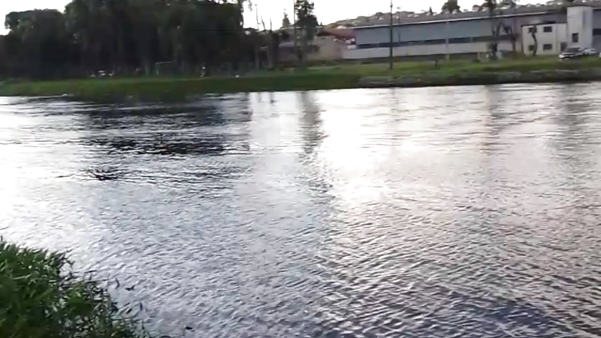 Pescando no rio iapó, cheio de gente mas ta ai — filmik Vinicius_Ribas42, modela(-lki) na kamerkach