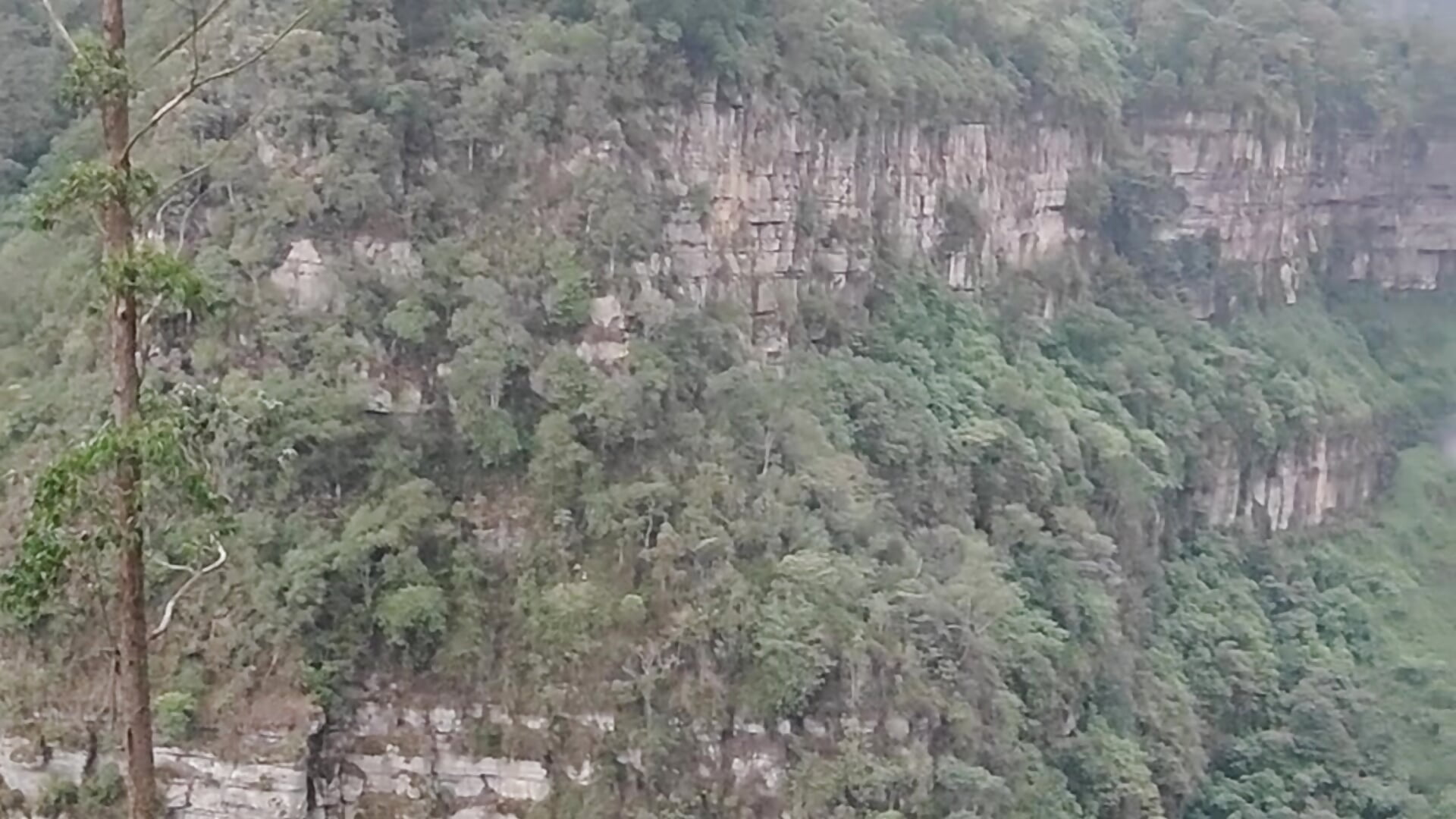 1000172439 - video by kilyan_wow cam model