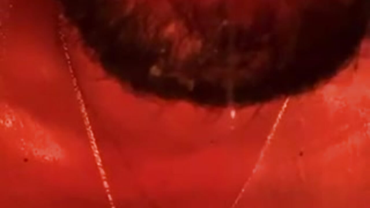 bbf1feb9-7b06-4561-9394-7be91869dd52 - copy 22 Mar 03:08 - Video von sweetblacky87 Cam-Model