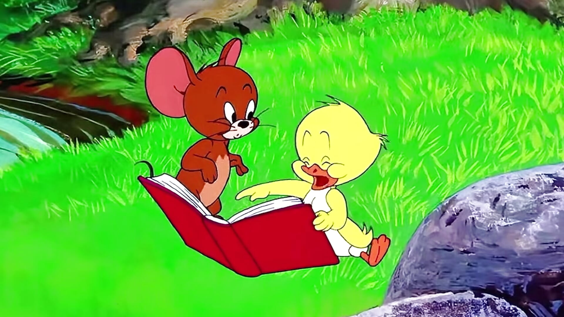 Tom and Jerry - vidéo du modèle de showcams kisslu0
