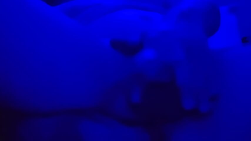 Prostate cum