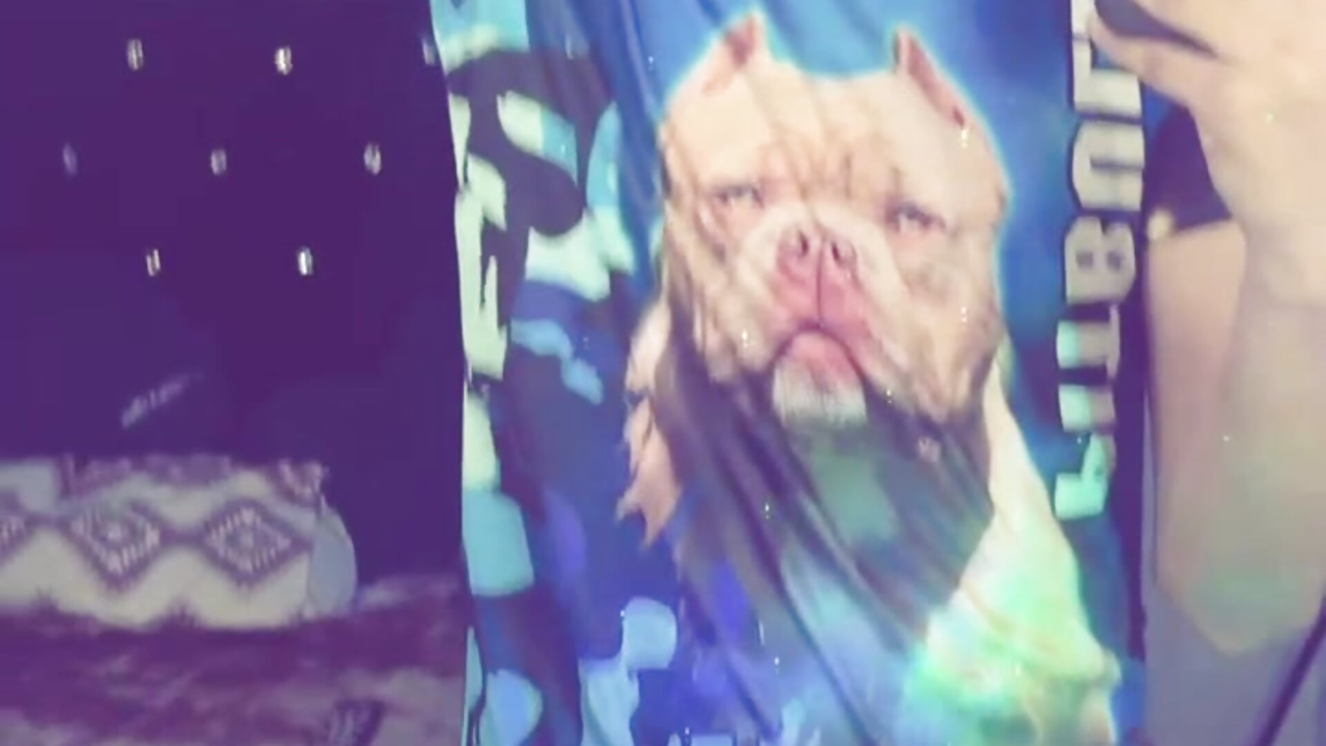 🔥 - video di Luigi_cumming1 modella di cam