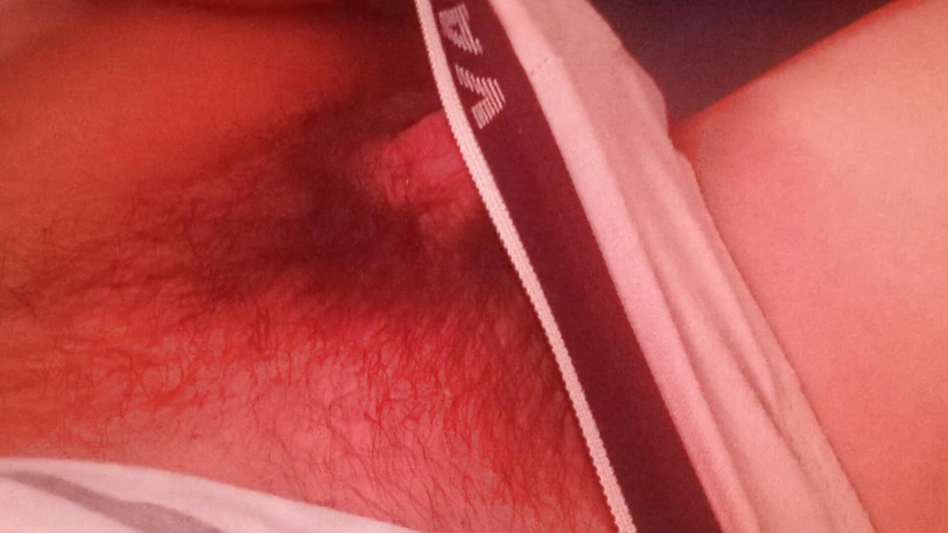 VID_20251111_090933 - vidéo du modèle de showcams carlostdh91