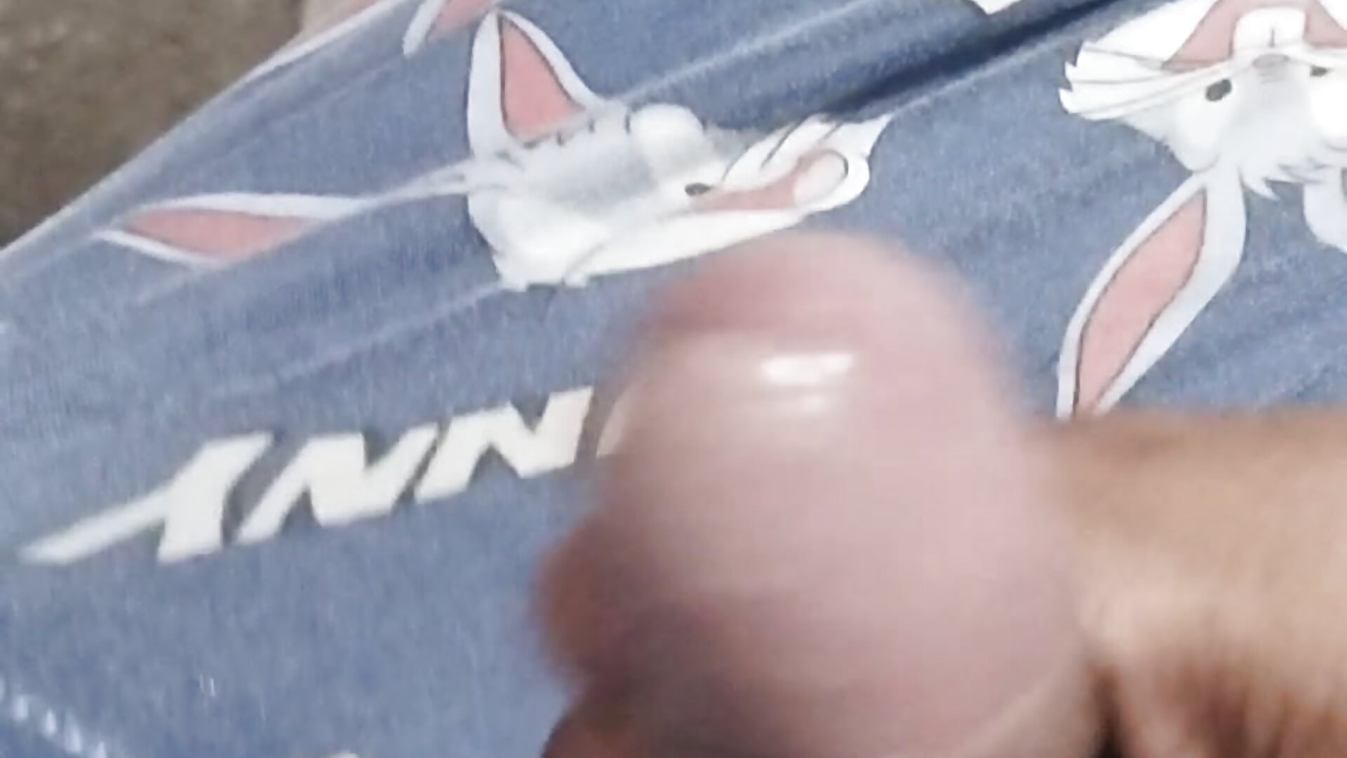 VID_20251115_005831 - video by Agranul cam model