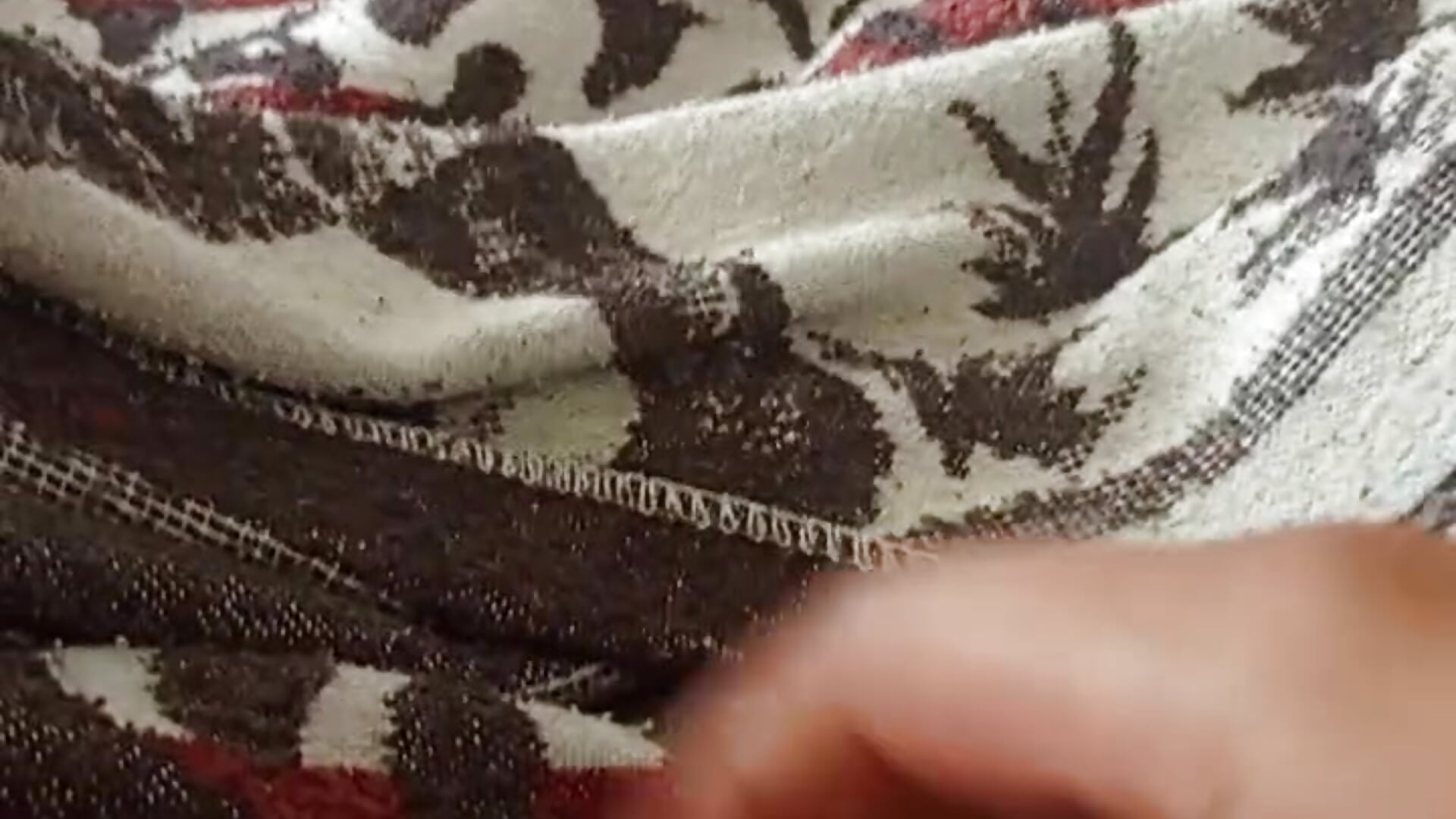 C4_1748795406024 - video by BuskedFester cam model