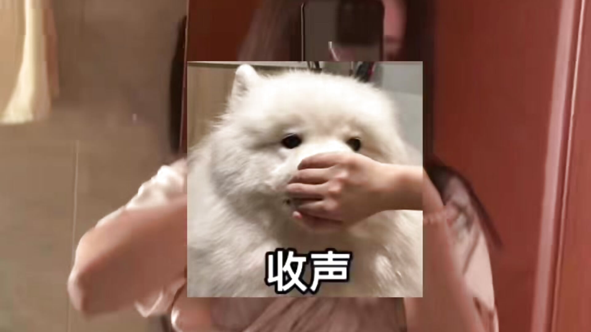反差~