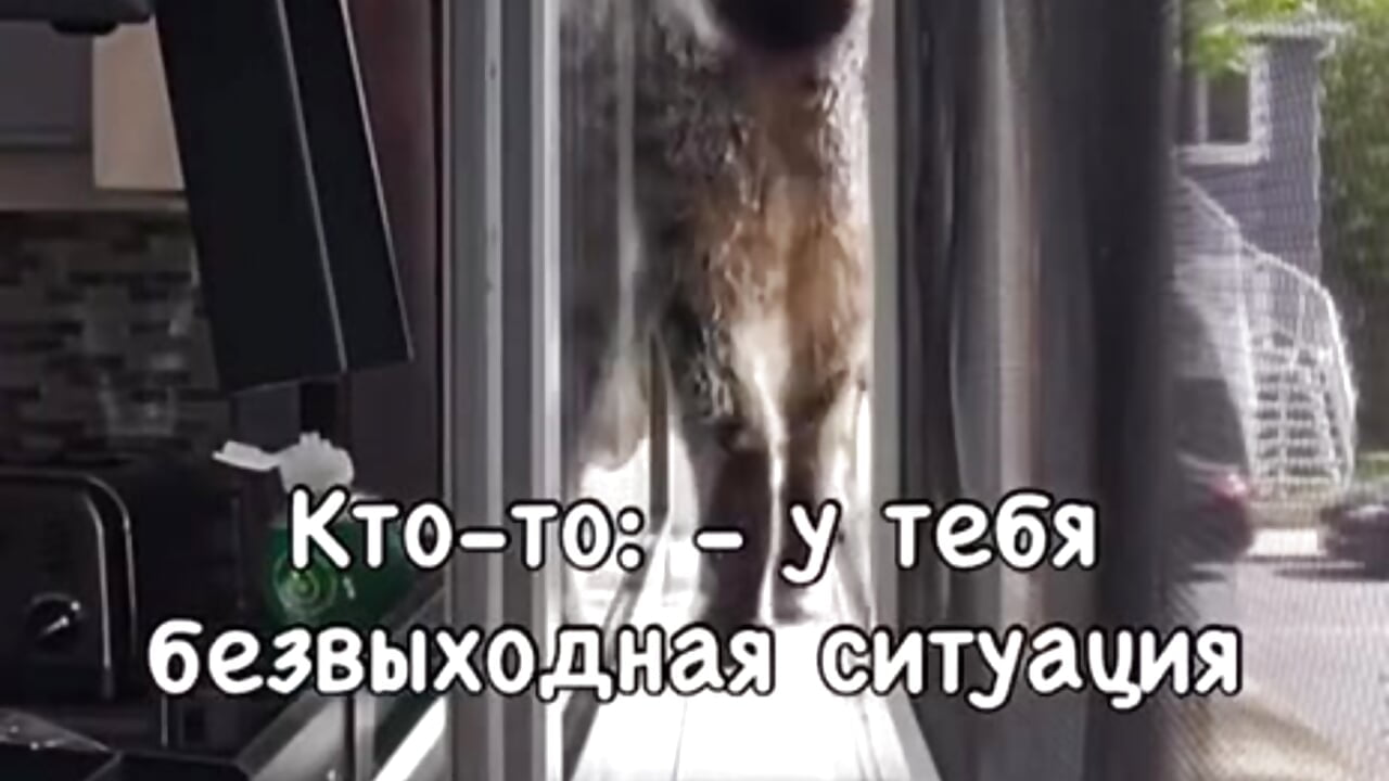 👍 - Vídeo de Kissingyouu, modelo de vídeos