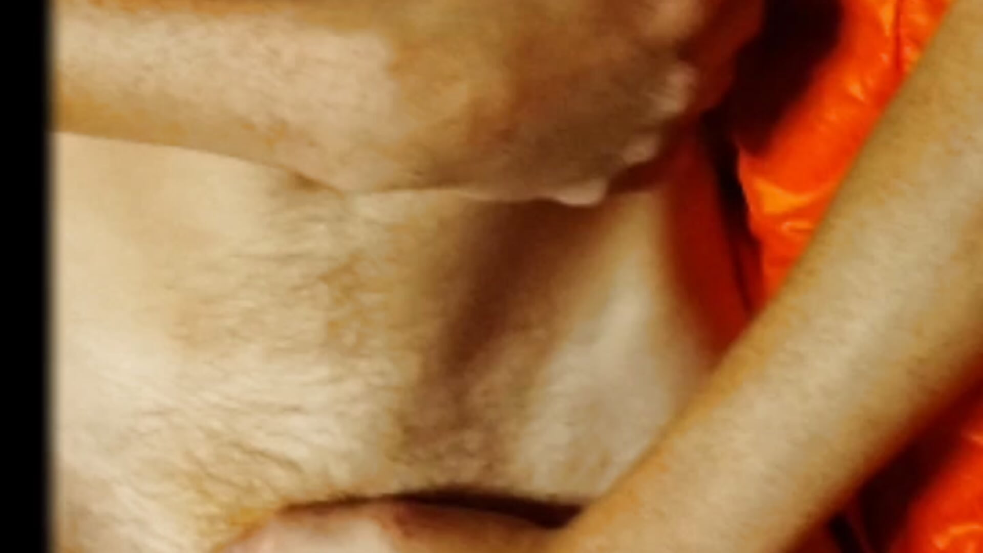 Orálek - video by Sucker_CV cam model