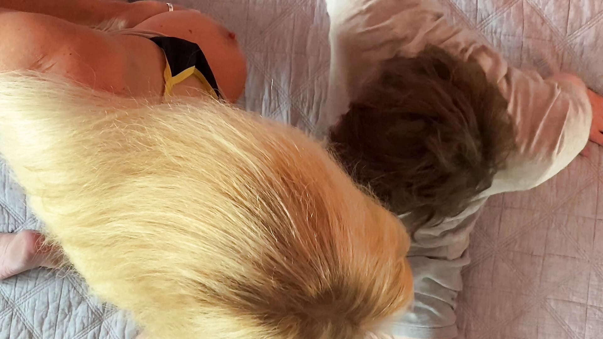 BIRDS EYE VIEW KISSING/BLOW JOB WITH CUB－カメラキャストのFitCougarの動画