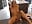 INTENSE FUCK MACHINE POUNDING - video by FitCougar cam model