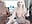 VSBJ cunt licking - video by FitCougar cam model