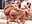 MILF BUTT LOVERS - video by FitCougar cam model