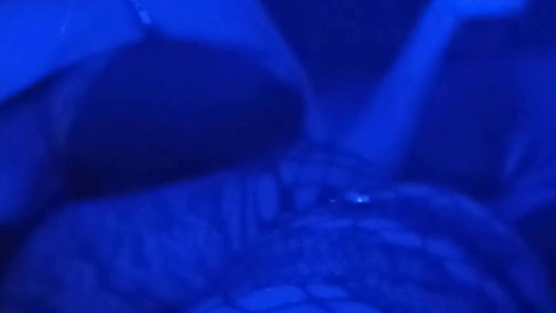 all u x - video của người mẫu cam VenezuelaLuxeNoir