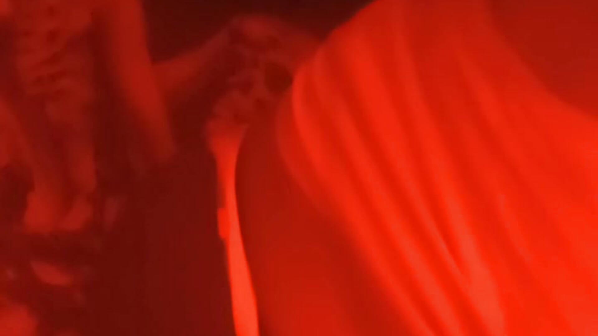 make it beg - วิดีโอโดย VenezuelaLuxeNoir โมเดลแคม