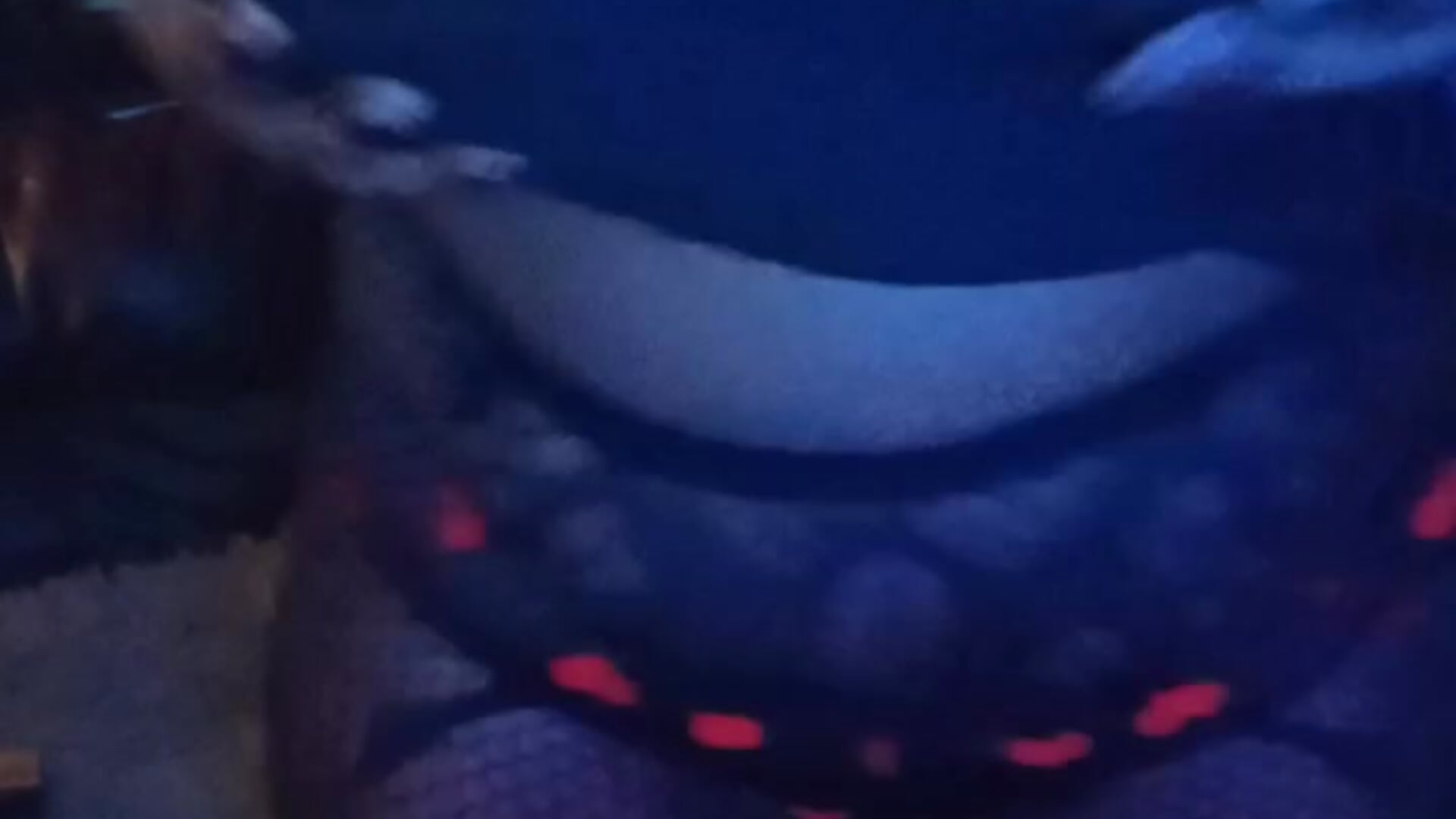 juicy V x - vídeo de VenezuelaLuxeNoir modelo de câmara