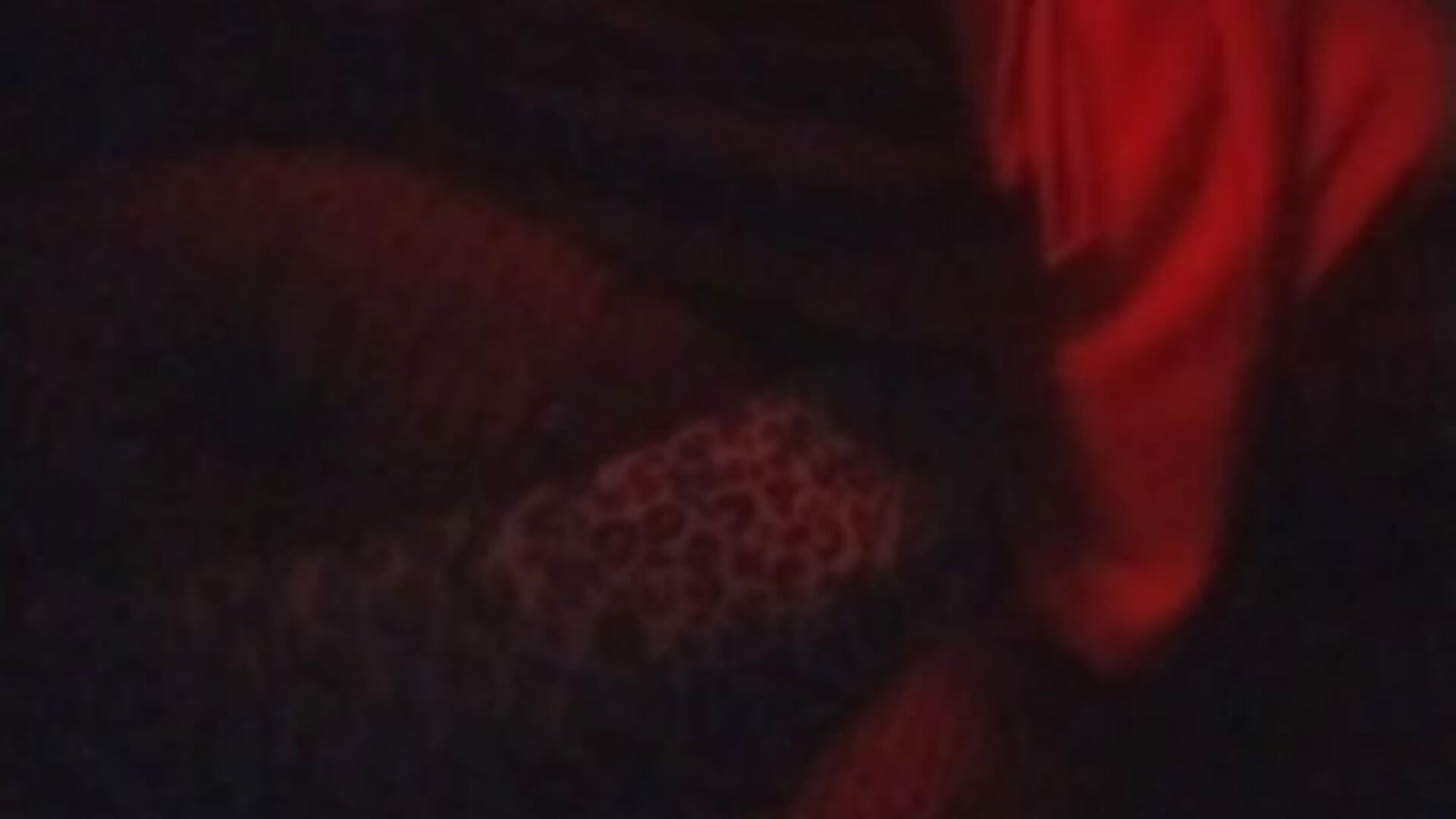 shake it babe x - video oleh model kamera VenezuelaLuxeNoir