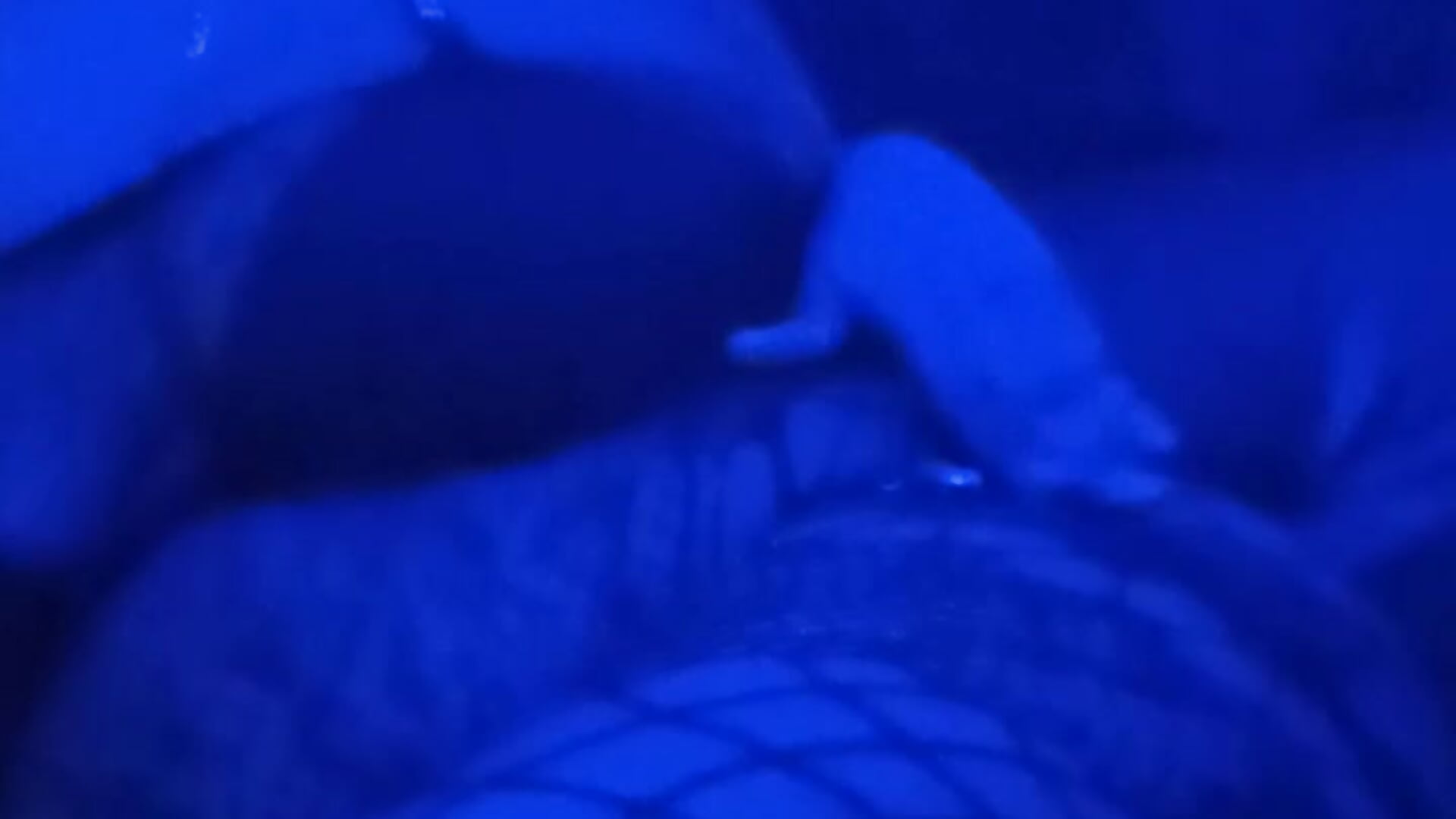 Blue vibez - video của người mẫu cam VenezuelaLuxeNoir