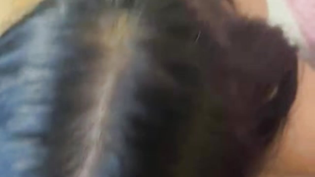 blowjob💦 - video by Sofi_castro12 cam model